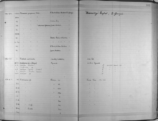 Autolytus cornutus Agassiz - Zoology Accessions Register: Annelida & Echinoderms: 1924 - 1936: page 161