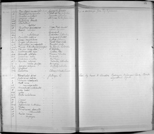 Cyrtocharax magdalenae atratoensis - Zoology Accessions Register: Fishes: 1912 - 1936: page 95