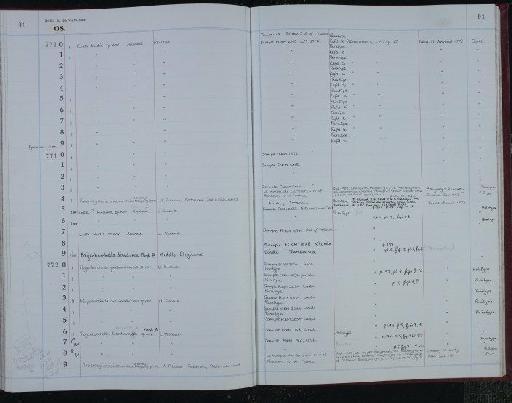 Paijenborchella (Eopaijenborchella) quasimalaiensis Ahmad, Neale and Siddiqui, 1991 - NHM-UK_P_DF118_04_10_0183