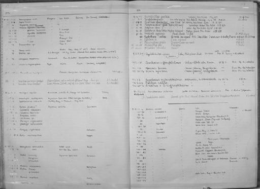 Barilius sp - Zoology Accessions Register: Fishes: 1971 - 1985: page 118