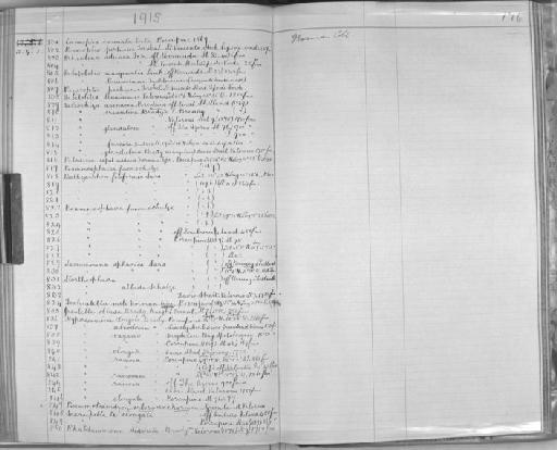 Pelosina caputmedusae Norman - Zoology Accessions Register: Spongiida & Protozoa: 1887 - 1918: page 176