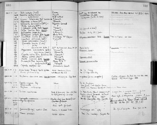 Proto pedata parvorder Caprellidira Leach, 1814 - Zoology Accessions Register: Crustacea: 1935 - 1962: page 116