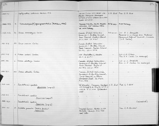 Leptognathia latriremis Hansen, 1913 - Zoology Accessions Register: Crustacea: 1984 - 1991: page 274