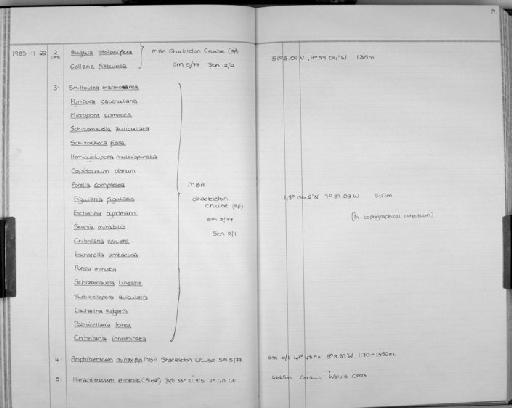 Pyripora catenularia (Fleming, 1828) - Zoology Accessions Register: Bryozoa: 1971 - 1986: page 99