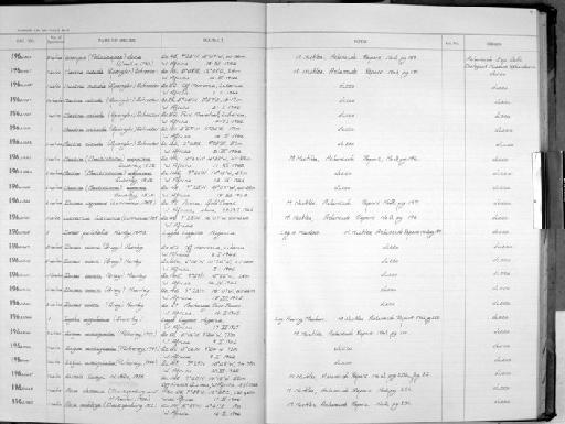 Donax rugosus subterclass Euheterodonta Linnaeus, 1758 - Zoology Accessions Register: Mollusca: 1962 - 1969: page 91