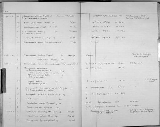 Cribrilina latimarginata - Zoology Accessions Register: Bryozoa: 1971 - 1986: page 138