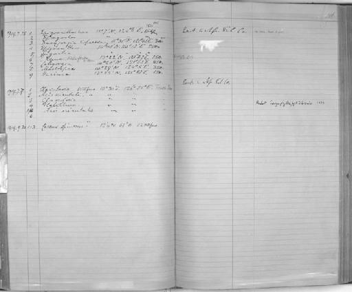 Flabellum Lesson, 1831 - Zoology Accessions Register: Coelenterata & Anthozoa: 1884 - 1934: page 106