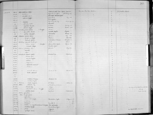 Bulimus exilis Bruguière - Zoology Accessions Register: Mollusca: 1938 - 1955: page 249