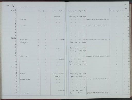 Cooksonia pertoni Lang, 1937 - NHM-UK_P_DF118_02_73_0075