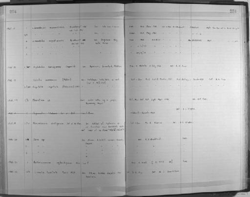 Limnodrilus maumeensis Brinkhurst and Cook, 1966 - Zoology Accessions Register: Annelida: 1936 - 1970: page 254