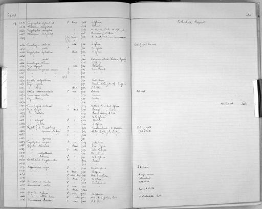 Tragelaphus spekei - Zoology Accessions Register: Mammals: 1937 - 1951: page 282