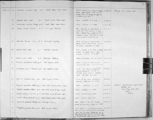 Stylostichon plumosum (Montagu, 1814) - Zoology Accessions Register: Spongiida: 1954 - 1970: page 78