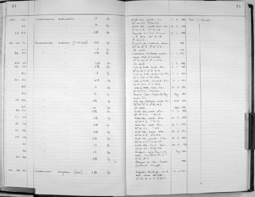 Halectinosoma herdmani (Scott T. & Scott A., 1896) - Zoology Accessions Register: Crustacea (Entomostraca): 1982 - 1993: page 64