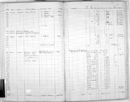 Thomasomys Coues, 1884 - Zoology Accessions Register: Mammals: 1984: page 26