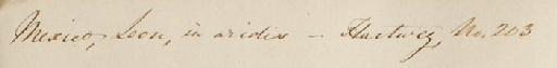 Solanum elaeagnifolium Cav. - BM000579299_back