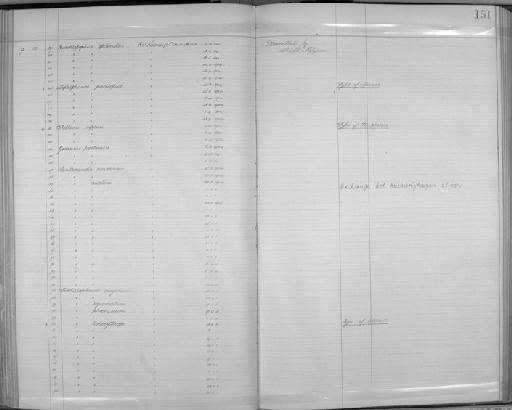 Ianthocincla victoriae Rippon, 1906 - Zoology Accessions Register: Aves (Skins): 1904 - 1905: page 151