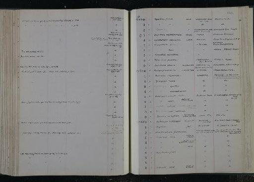 Phanerosteon ovensi White - NHM-UK_P_DF118_03_11_0215