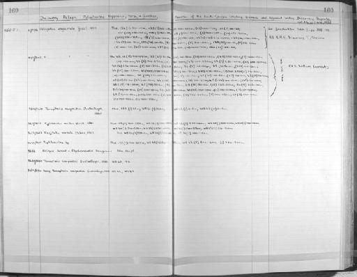 Rhynchonerella bongraini (Graviel) - Zoology Accessions Register: Annelida: 1936 - 1970: page 160