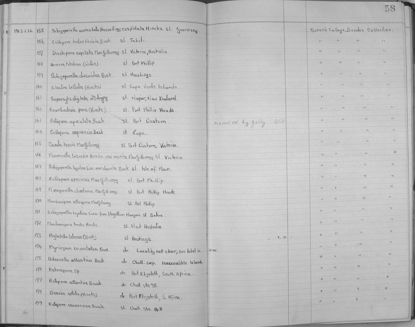 Zoology Accessions Register: Bryozoa: 1950 - 1970: page 58