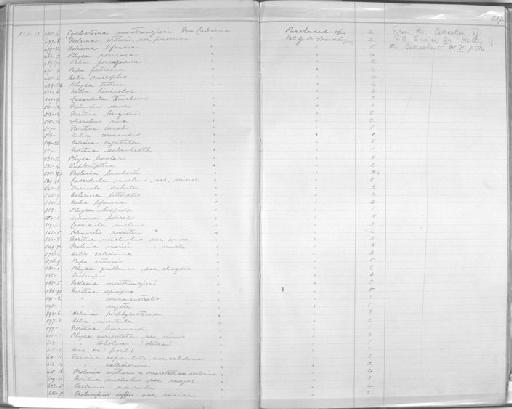 Helix caledonica subterclass Tectipleura Crosse, 1868 - Zoology Accessions Register: Mollusca: 1877 - 1883: page 207