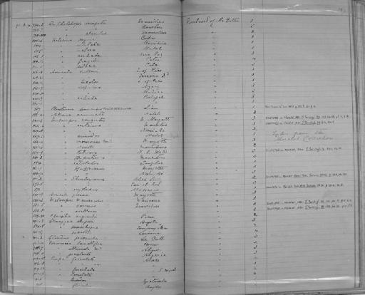 Pupa leucodon subterclass Tectipleura Morelet, 1851 - Zoology Accessions Register: Mollusca: 1884 - 1893: page 237