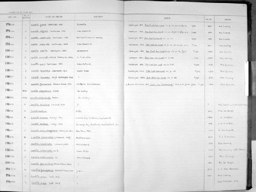 Cardita essingtonensis Deshayes, 1852 - Zoology Accessions Register: Mollusca: 1962 - 1969: page 78