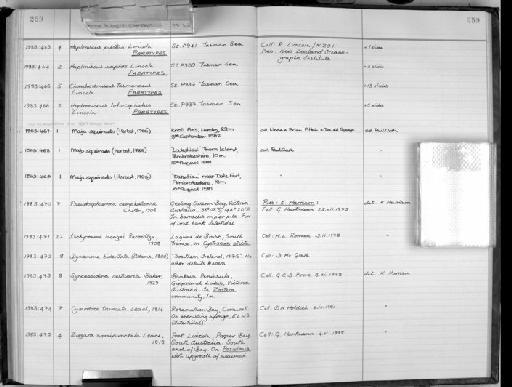 Chauliodoniscus tasmaneus Lincoln - Zoology Accessions Register: Crustacea: 1976 - 1984: page 259