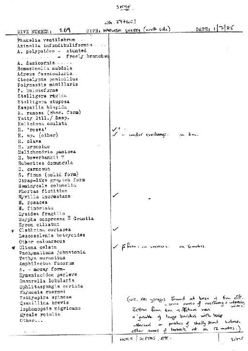 Leucosolenia botryoides (Ellis & Solander, 1786) - Spurrier Skye notes 3 (CSC 31 to 46).jpg