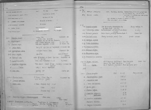 Anchoviella perfasciata (Poey, 1860) - Zoology Accessions Register: Fishes: 1971 - 1985: page 28