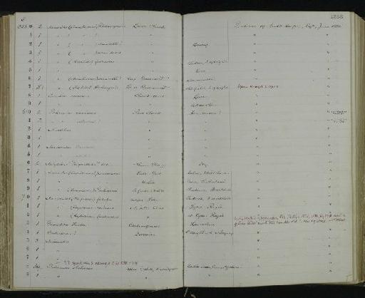 Schlotheimia pseudomoreana Spath, 1924 - NHM-UK_P_DF118_06_29_0153